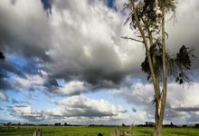 蜂鸟竞技官网：特鲁姆普谈1／4决赛对阵墨菲：对我而言，这场比.