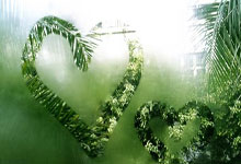 蜂鸟竞技官网：[德甲]吉拉西进球 斯图加特战胜奥格斯堡.