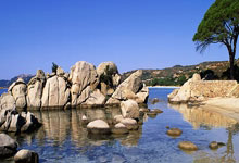 蜂鸟竞技官网:伊万科维奇:一切都没那么糟北京青年报.